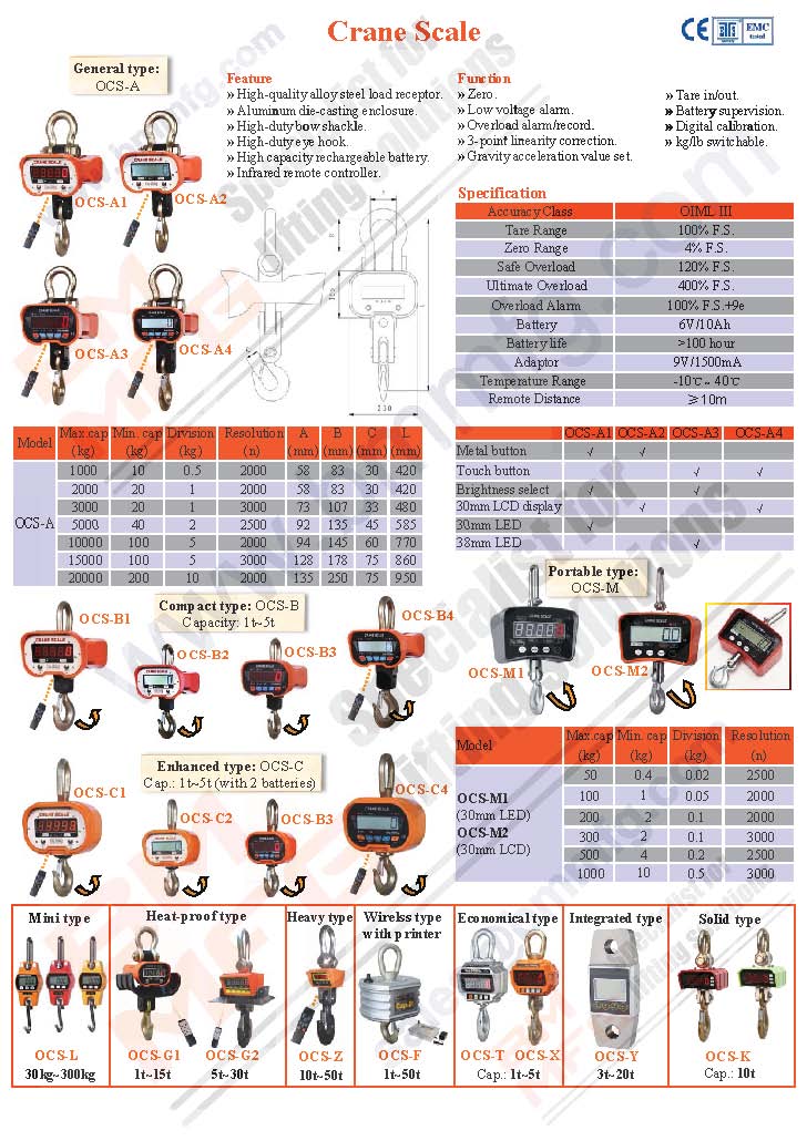 Crane Scale